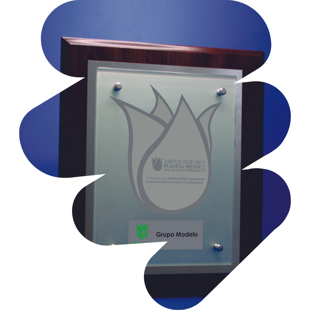 Reconocimientos y Placas