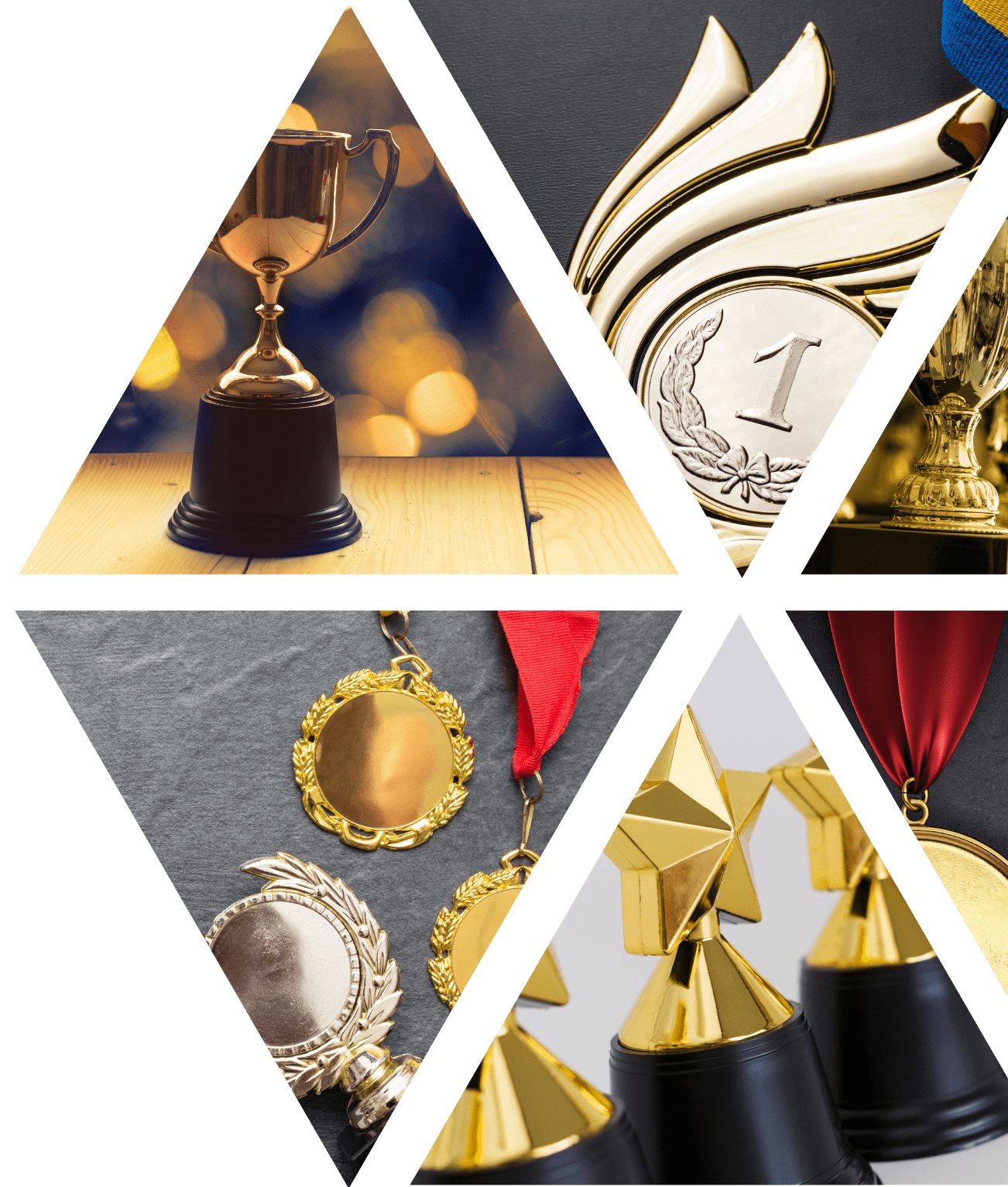 Medallas y Trofeos